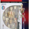 Aoshima 107119 4D Vision No.08 Whole Body Skeleton Model Non-scale Kit