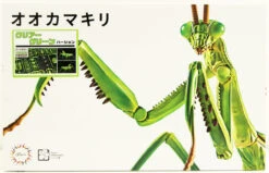 Fujimi Research Series Tenodera Aridifolia Clear Green (Japanese Giant Mantis) Special Version Plastic Model