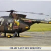 Hasegawa 07387 OH-6D Last Sky Hornets 1/48 Scale Kit