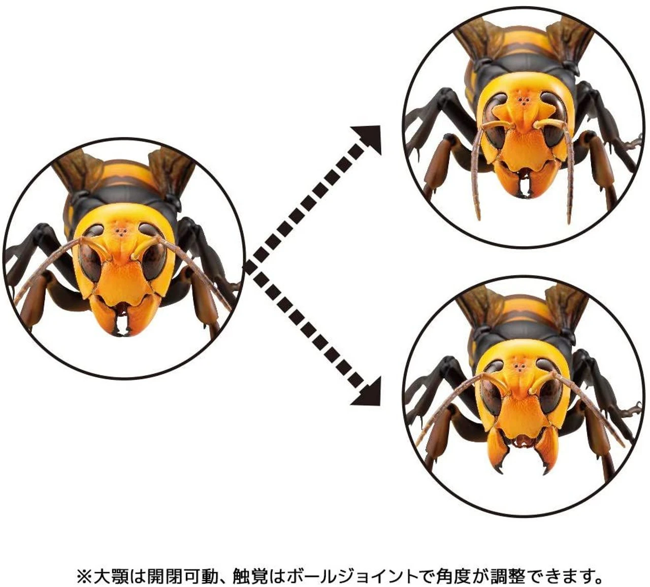 Kaiyodo Revogeo Japanese Giant Hornet Figure - Image 9