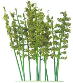 Tomytec (Jyumoku 105) Bamboo Tree (N Scale)