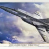 Hasegawa 07471 MiG-25RBT Foxbat 'World Foxbat' 1/48 Scale Kit