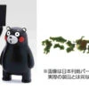 Fujimi 170916 No.14 EX-1 MAP OF JAPAN (PREPAINTED) KUMAMON VER Non-scale Model Kit