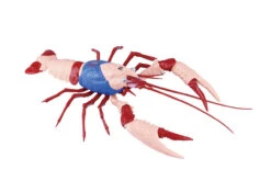 Fujimi Research Series Procambarus Clarkii / American Crawfish (Kinnikuman) Plastic Model